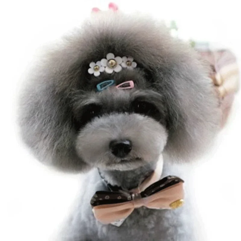 5pc/set Korean Mini 2cm Colorf - огляд і ціна Vintage Fashion Doll